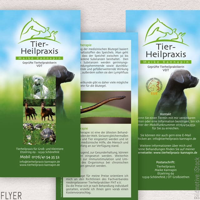 Heydorndesign - Grafik-Design - Tierheilpraxis - Flyer